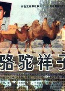 骆驼祥子的海报