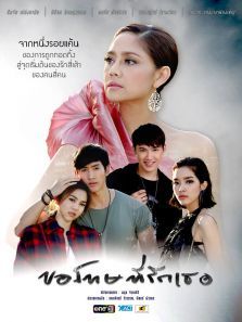 对不起，我爱你泰语的海报