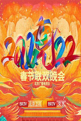 2022年北京卫视春节联欢晚会的海报