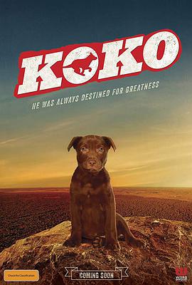 Koko:红犬历险记的海报