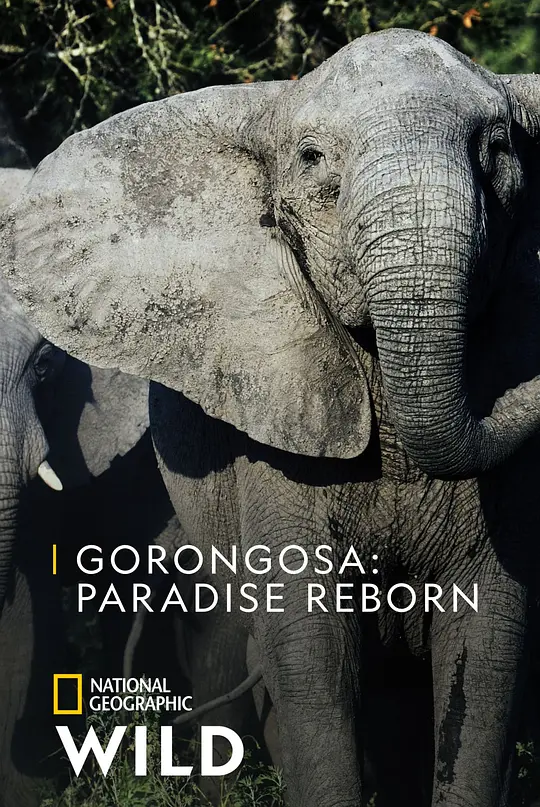 Gorongosa Paradise Reborn 2022