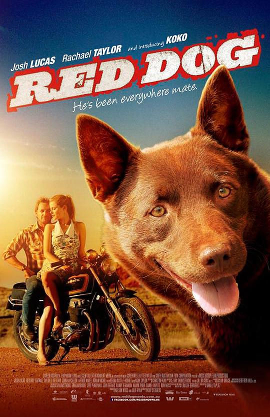 红犬历险记 2011