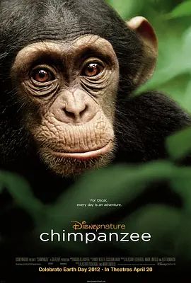 黑猩猩 2012
