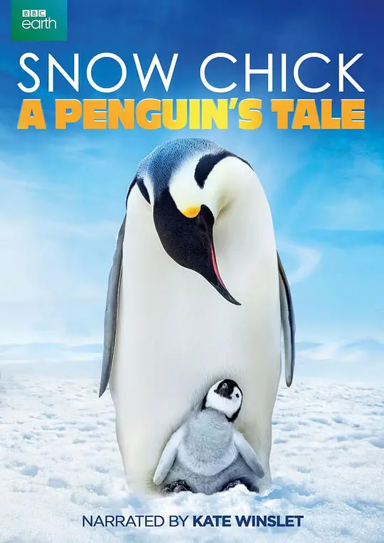 帝企鹅宝宝的生命轮回之旅 2015