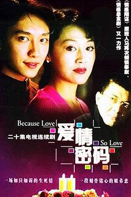 爱情密码（2001）的海报