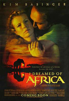 梦游非洲的海报
