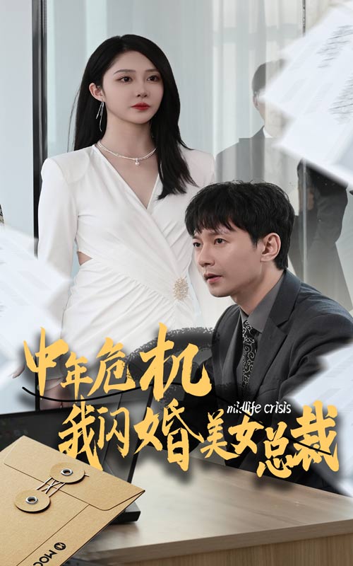 中年危机我闪婚美女总裁